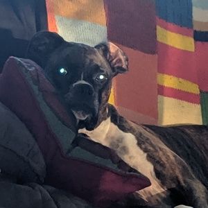 Meet your Posher, Doreen